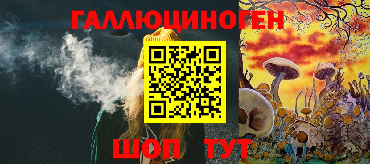 Псилоцибиновые грибы Psilocybe  магазин    Псилоцибиновые грибы Magic Shrooms  Камышлов  Вход с VPN 